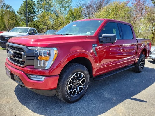 2021 Ford F-150 XLT in Point Pleasant, NJ - All American Ford Point Pleasant