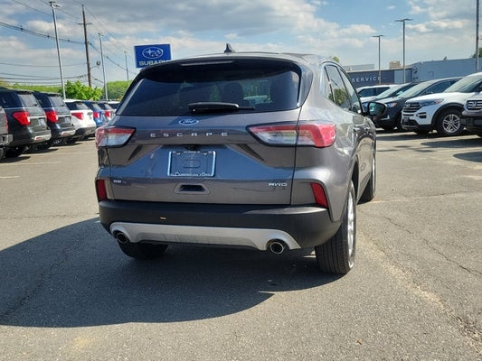 2021 Ford Escape SE in Point Pleasant, NJ - All American Ford Point Pleasant