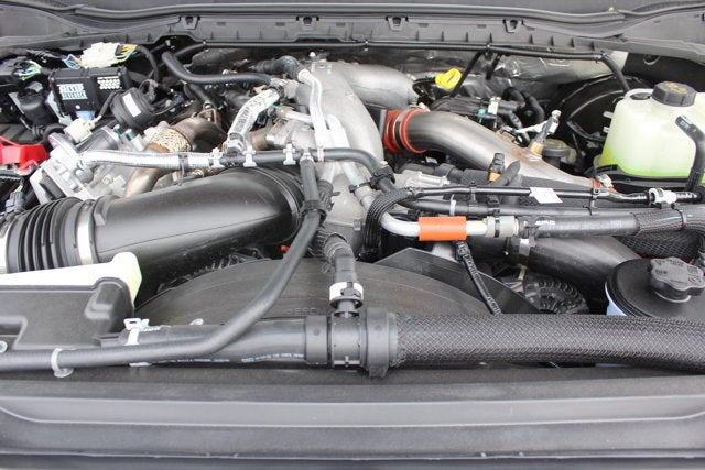 2026 Ford F-250 Torque 1200 by Shelby